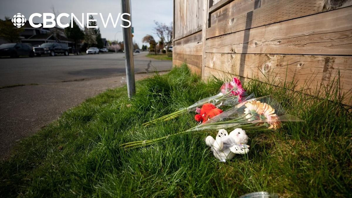 Suspected Drunk Driver Who Killed 6-Year-Old Girl Arrested After He ...